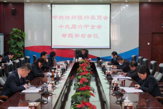沧州银行传达学习十九届六中全会和全市作风整顿推进会、警示教育大会会议精神